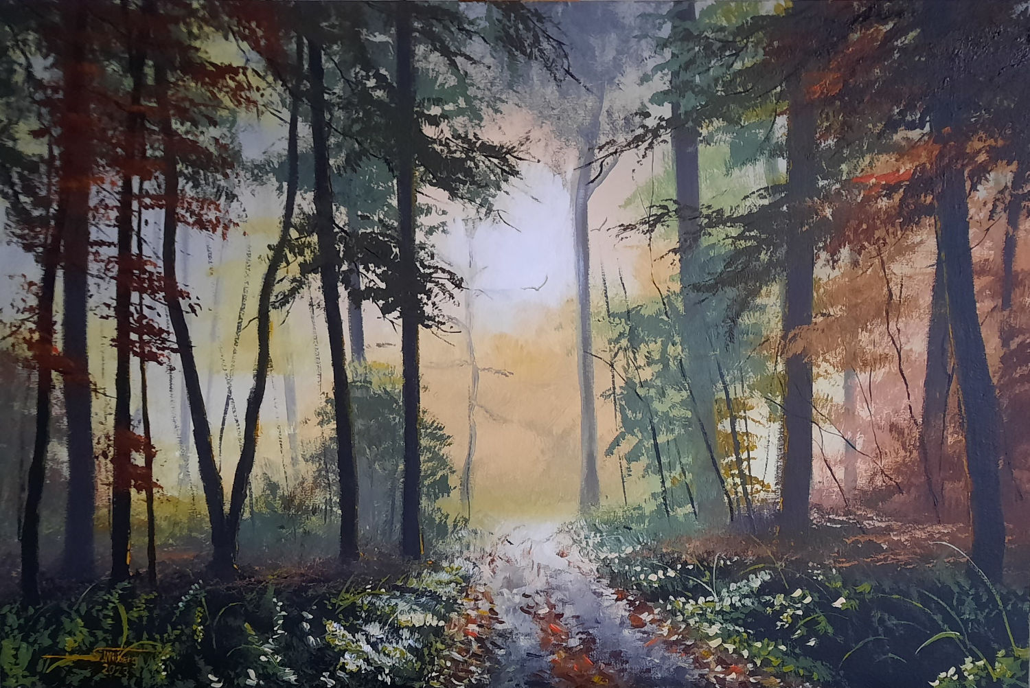 Blick aus dem Wald in Richtung des Sonnenscheins