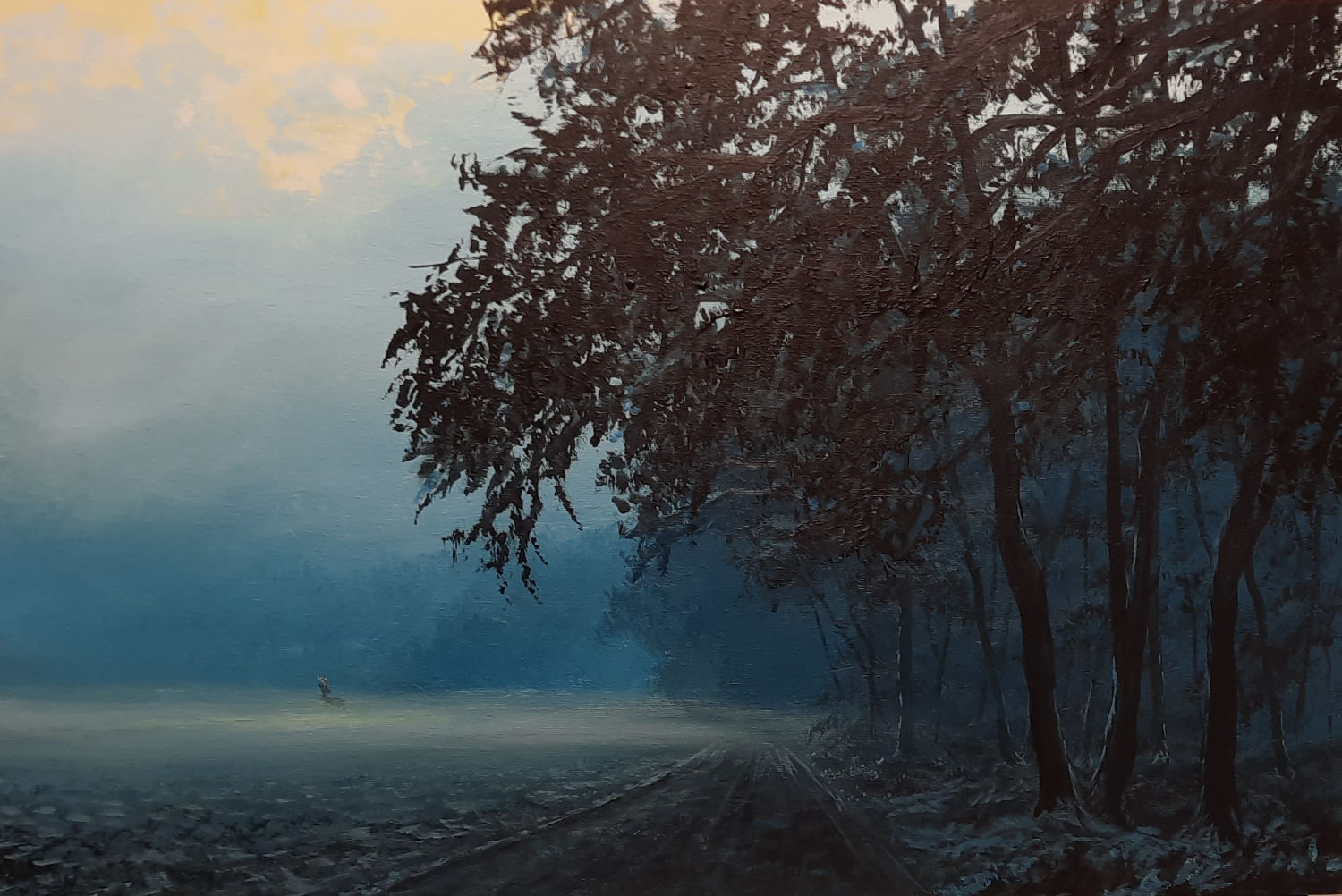nebliger Wald in der morgenlichen Dämmerung